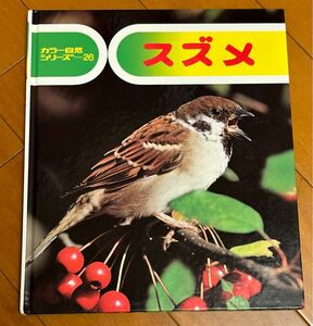 スズメ　カラー自然シリーズ２６　文 小林清之介　　写真 菅原光二　偕成社