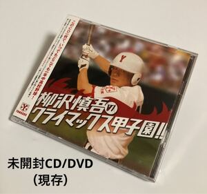 ※値下げ交渉可　新品・未開封　柳沢慎吾のクライマックス甲子園!!