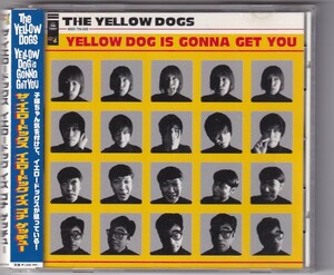 イエロー・ドッグス／イズ・ゴナ・ゲッチュー　Yellow Dogs/Beatles