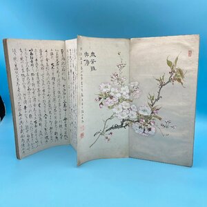 【B0037P016】肉筆 書簡 日本画 寄書帳？ 詳細不明 古書 和本 手紙 直筆帳 桜図 村山半牧 草莽臣 歸山良徹 画集 骨董品 古美術 古物