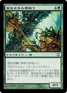 MTG　寄生された根張り　在庫日1枚まで　ダークスティール　DST　★他多数出品中