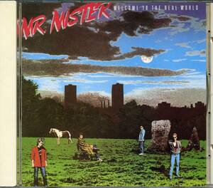 MR.MISTER★Welcome to the Real World [Mr.ミスター,Richard Page,リチャード ペイジ]