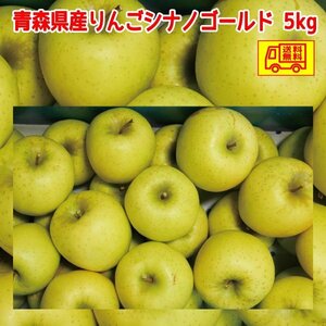 青森県産　りんご　ご家庭用　シナノゴールド5ｋｇ　パック詰め　送料無料！