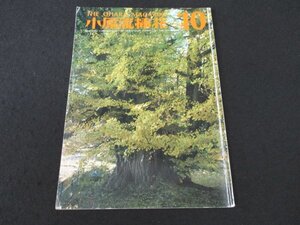 本 No1 02611 小原流挿花 1979年10月号 月例研究会 花暮らし 大沼国定公園 パトロン 日本美術史 十六無三四 いけばな技法 芸術ジャーナル