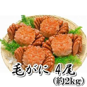 毛ガニ ４尾 （約２ｋｇ） 新物 北海道産 生食用 ボイル 身入り バッチリ 脚折れあり