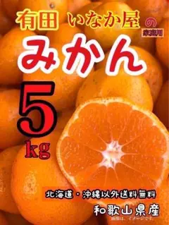 みかん5kg みかん　フルーツ　柑橘　お買い得品　お早目に！　高騰中