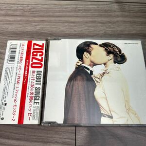 ジグゾ ZIGZO CD デビューシングル 血と汗と涙の裏側のハッピー ラルクアンシェル SAKURA 希少 廃盤