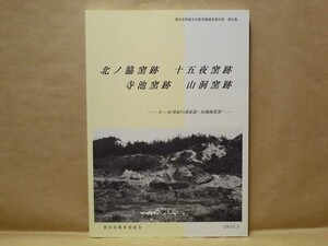 北ノ脇窯跡　十五夜窯跡　寺池窯跡　山洞窯跡　9～10世紀の須恵器・灰釉陶器窯　豊田市郷土資料館編 豊田市教育委員会 2012