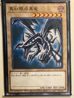 遊戯王★CARD ILLUSTRATION タペストリー 真紅眼の黒竜