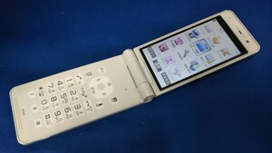 D4837 docomo FOMA P-01E Panasonic パナソニック ガラケー 折り畳み式 簡易動作確認＆簡易清掃＆初期化OK 判定○ 現状品 送料無料　