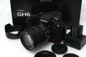 極美品｜パナソニック LUMIX DC-GH6L 標準ズームレンズキット CA01-M1859-2P4