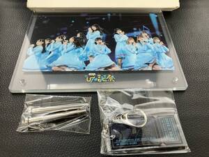 中古品 日向坂46 3回目のひな誕祭 in 東京ドーム ライブフォト アクリルプレート