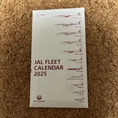 JAL FLEET CALENDAR 2025