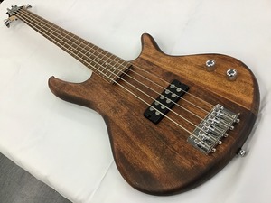 アイバニーズ Ibanez 5弦 ベース GSR105EX