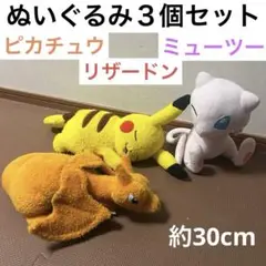 ぬいぐるみ ポケモン ３個セット