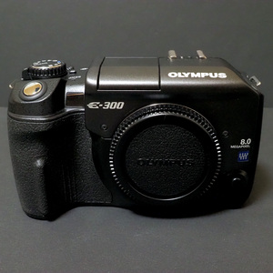 OLYMPUS E-300ボディ ISO50 ボディバージョン1.0 シャッター数93 オリンパス