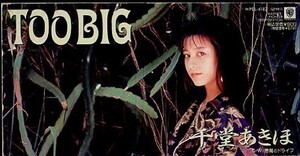 ◇即決CD◇千堂あきほ/TOO BIG/1990年作品/3rdシングル