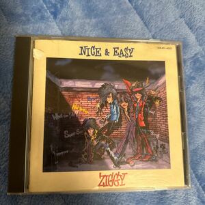 ＮＩＣＥ＆ＥＡＳＹ／ＺＩＧＧＹ