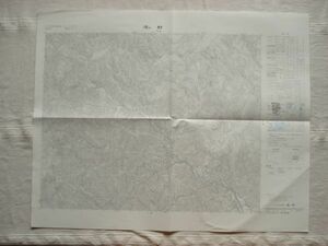 【地図】 湯ヶ野 1：25,000 昭和46年発行/ 静岡 河津町 ナチシダ自生北限地 新町の大ソテツ 来宮神社の大クス 逆川トンネル 中部国土地理院