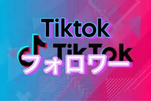 【500 Tiktok フォロワー 増加できるツール】ユーチューブ フォロワー いいね 再生数 チャンネル登録者 Instagram ティックトック