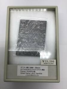 8780■ギベオン隕石 隕鉄 Gibeon ウィドマンステッテン構造 1836年以前 詳細不明 ケース未開封 ※写真をご確認ください