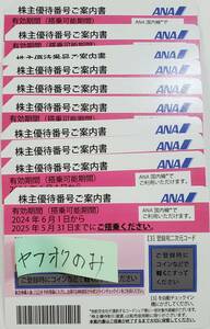 即決　最新　ANA　株主優待券　10枚セット　有効期限　2024年６月１日～2025年５月31日まで　