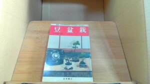 豆盆栽 高橋書店