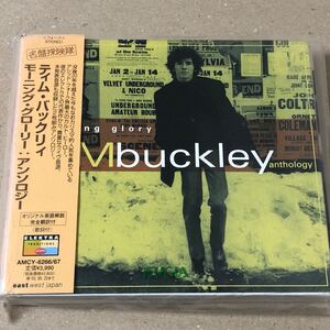 2枚組 ティム・バックリィ モーニング・グローリー：アンソロジーMorning Glory The Anthology Tim Buckley ベスト ジェフ・バックリィ