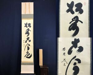 真作/大徳寺/紫野/小林太玄/一行書/松無古今色/茶道具/茶掛/禅語/掛軸☆宝船☆AF-119