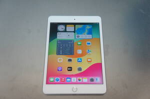 中古Apple ID 削除済 sim フリー au Apple iPad mini 第5世代 Wi-Fi+Cellular 256GB MUXD2J/A 制限〇 (41)