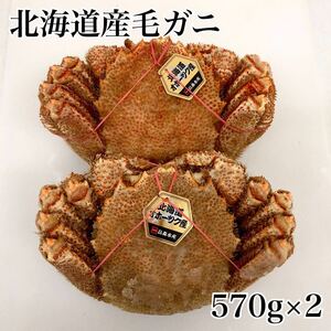 ☆北海道産毛ガニ570g×2