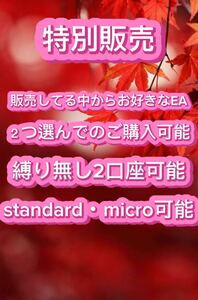 FX 特別販売　出品してる中から２つ選び縛り無し口座２個まで可能　