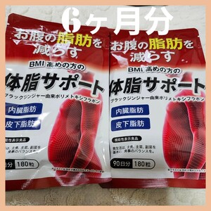 【2袋セット】180日分 体脂サポート お腹の脂肪を減らす サプリメント 機能性表示食品 ダイエットサプリ