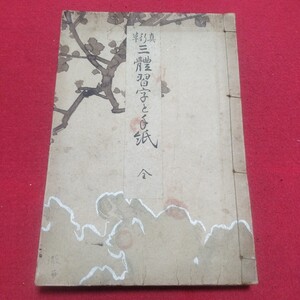 三體習字と手紙 全 小野之助 大正10 書道検)拓本楷書臨書唐本行書草法書法帖折帖法書仏教御経写本習字小野道風中国中華王羲之漢籍漢詩NF