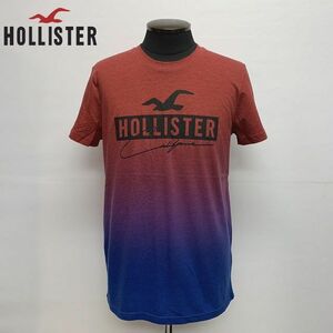 US正規 /S★HOLLISTER ホリスター ロゴプリント 半袖Tシャツ/グラデーション 323-243-2941-628 サーフスタイル アメリカ購入 (9967)