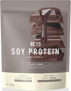 チョコレート風味 REYS レイズ ソイ プロテイン 1kg SOY