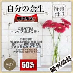 自分の余生 あなたの幸せのお手伝い♡ 特典あり 無料占い付き angel占い