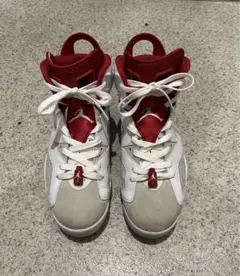 AIR JORDAN 6 ALTERNATE HARE サイズ　27㎝