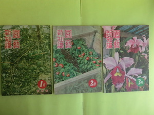 【園藝 新知識・昭和26年1・2・3月号：栽培・種苗・バラ苗栽培・こんにゃくの製造】 3冊 タキイ種苗（株） キズ・経年焼け