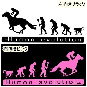 《JK01》30.0×12.5cm【人類の進化‐競馬・乗馬編】G1、有馬記念、JRA、ケイバ、日本ダービー、馬術部、馬具ステッカー(1)