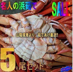 5箱、釜揚げ直送!! 名人の『浜茹で蟹LL-5尾セット』...とれたて、境港直送 「紅蟹400-500(5)」