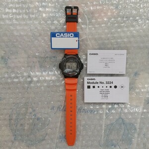 カシオ W-219H-4AVDF レア