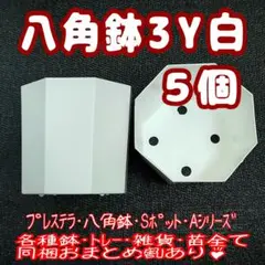 カネヤ【3Y】八角鉢 白 5個 プラ鉢 スリット鉢 プレステラ 多肉植物8