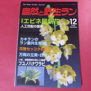 YN4-241219☆自然と野生ラン 2002年12月号 ※ エビネ カキラン セッコク 万両 フユノハナワラ ※ 園芸JAPAN