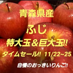 ★期間限定★青森県産 ふじ りんご 特大＆巨大玉 6~8玉 ㊷