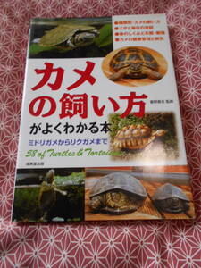 ●カメの飼い方がよくわかる本 (日本語) 霍野晋吉(監修) ●私はニホンイシガメが好きです。日本の固有種残っていって欲しいものですね