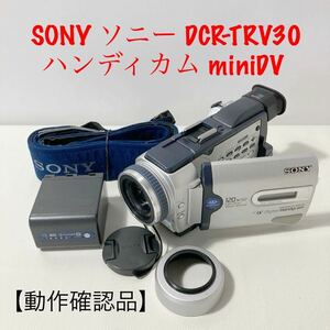  SONY ソニー DCR-TRV30 ハンディカム miniDV 【動作確認品】