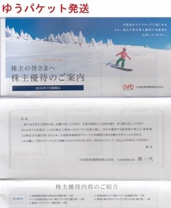 日本駐車場開発 株主優待券1冊　※紙チケットのみ