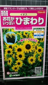 ３袋セット お花がいっぱい ひまわり イオス 種 郵便は送料無料 向日葵