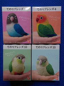 【 ウロコインコ:シナモン&ブルーシナモン 】【ボタンインコ:ノーマル&ブルー】てのりフレンズ★検索:11R234種全1256714152013141516171810